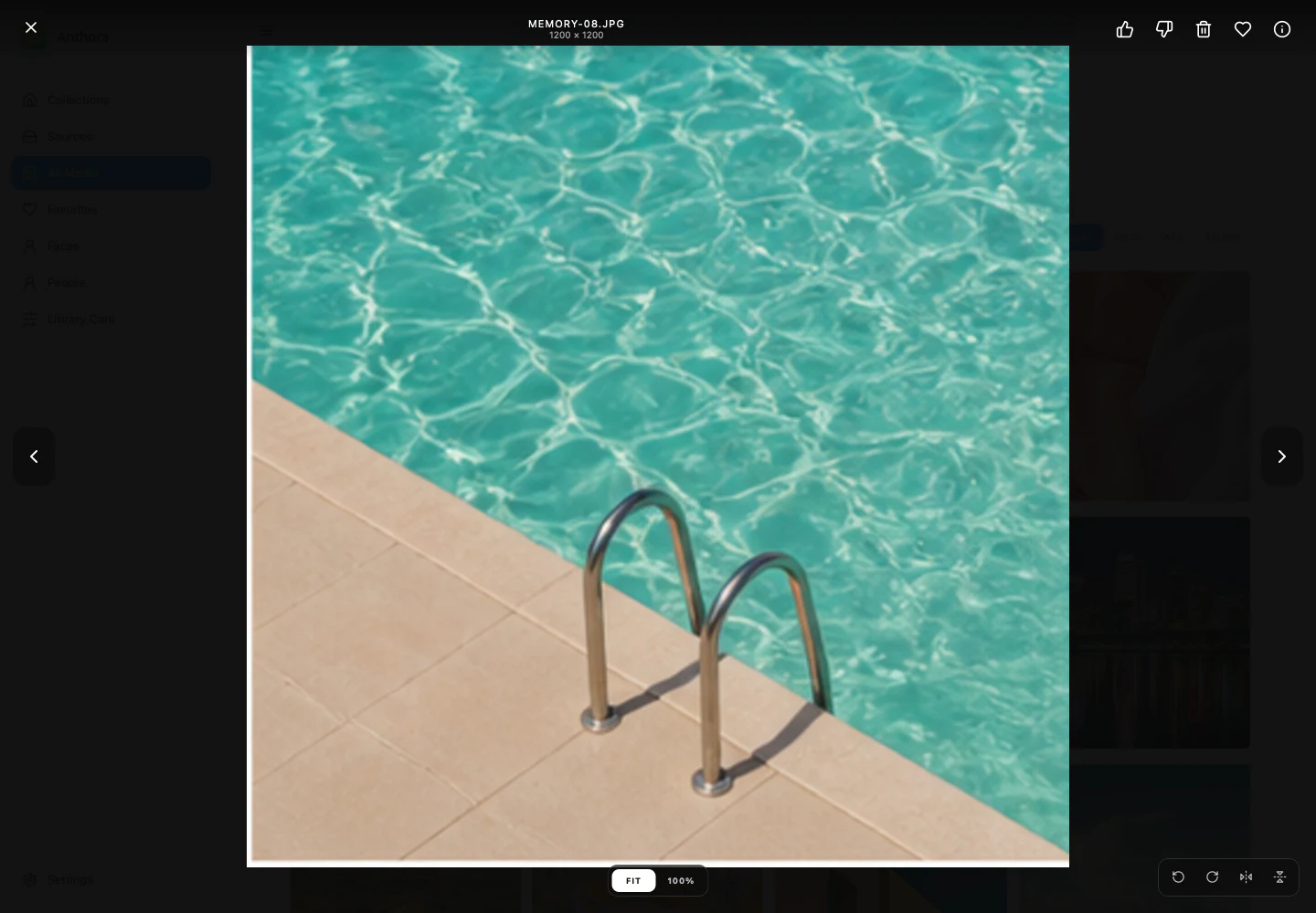 Anthora full-size media viewer
